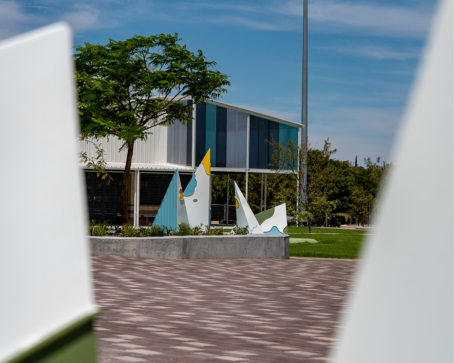 Elisa Markes-Young - Do Sheep Dream of the Sea