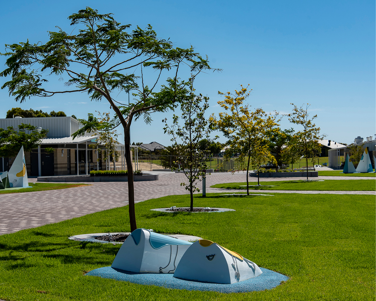 Elisa Markes-Young - Do Sheep Dream of the Sea