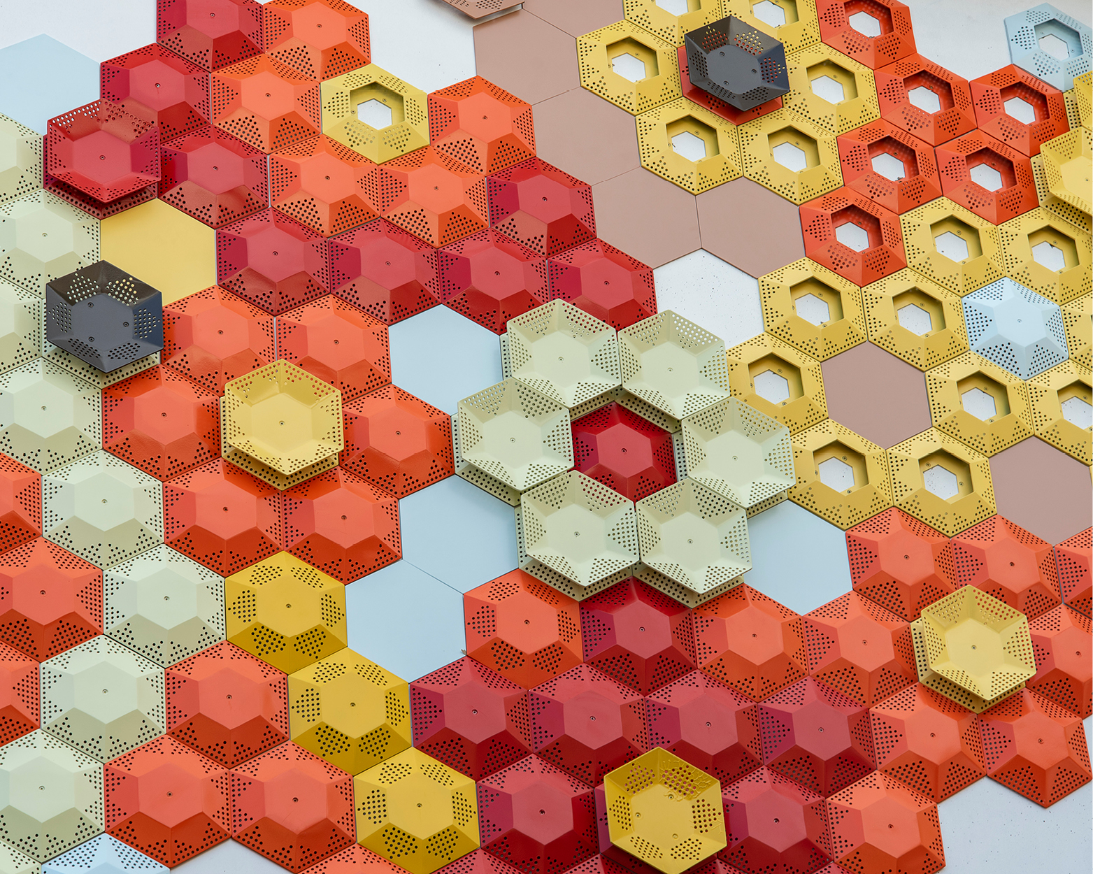 Elisa Markes-Young - Capture the Winds