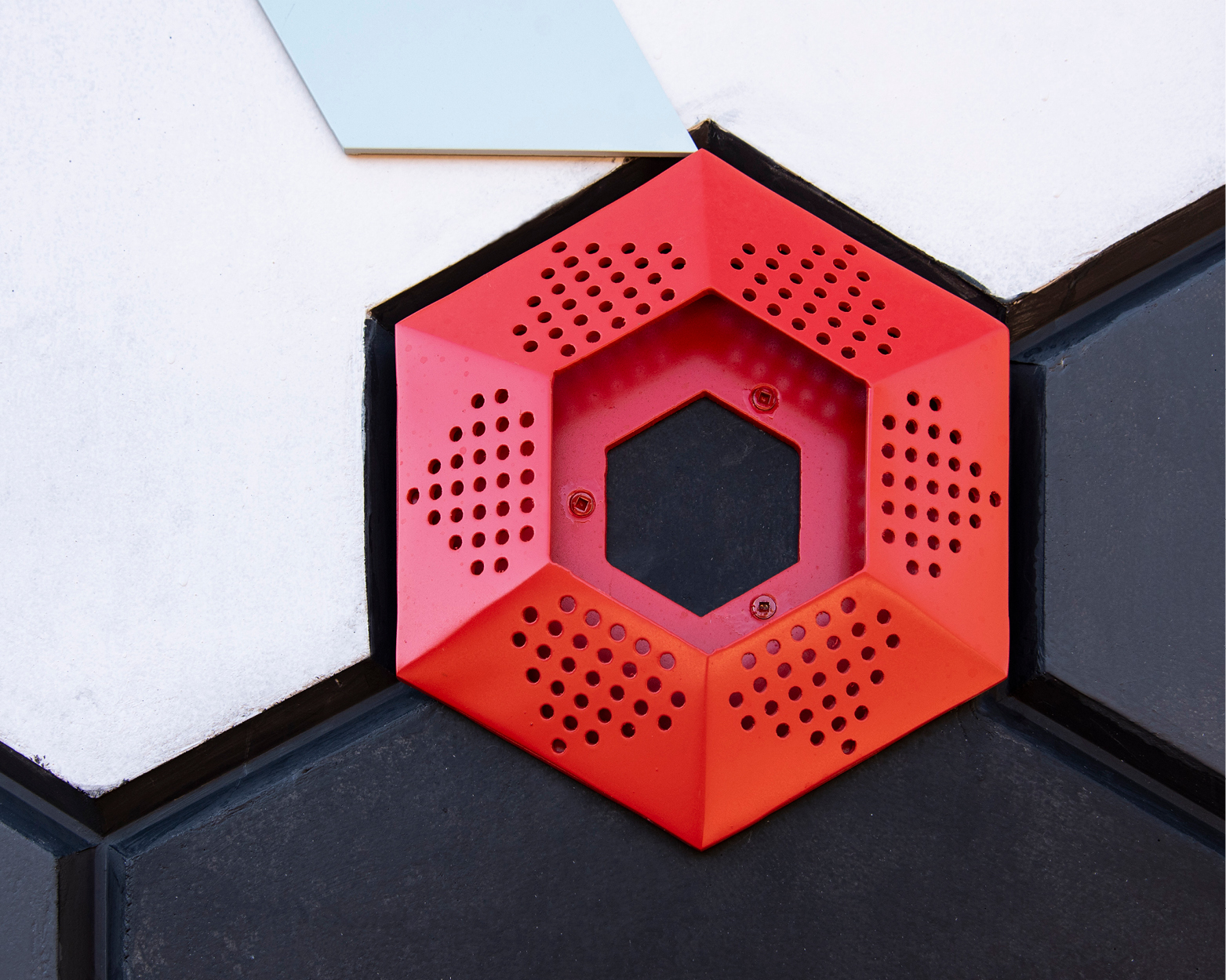 Elisa Markes-Young - Capture the Winds