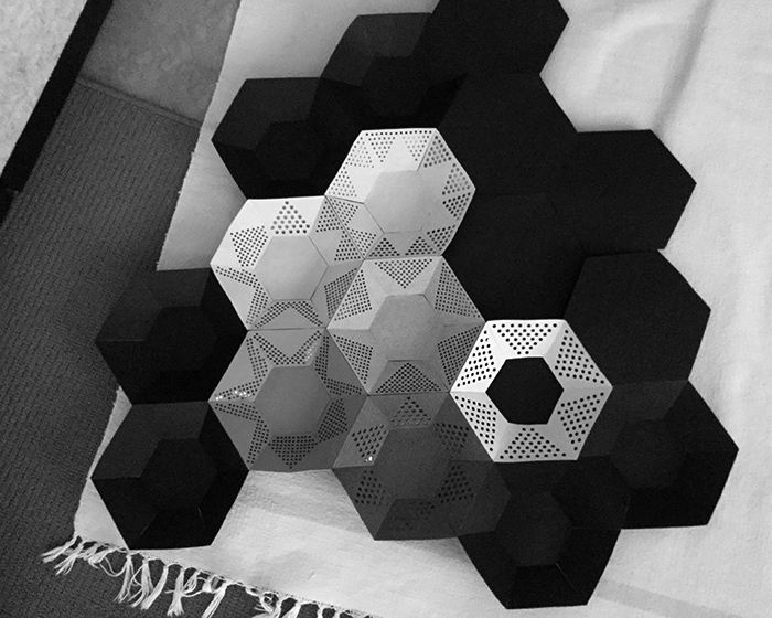 Elisa Markes-Young - Capture the Winds