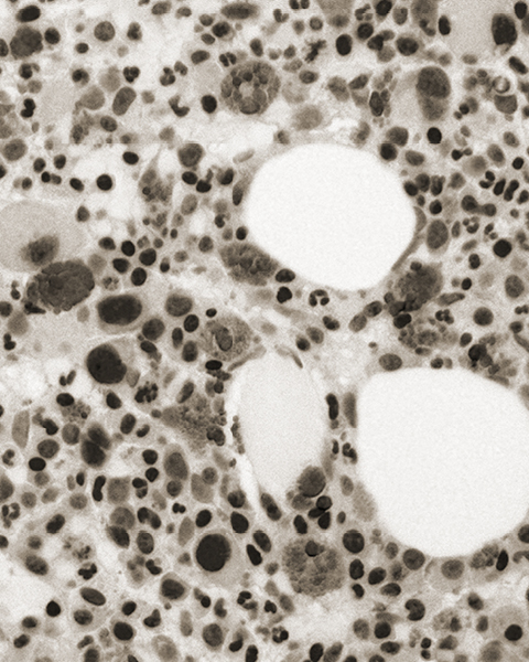 Christopher Young - Eight