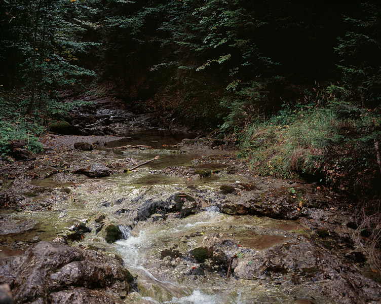 Christopher Young - Poland