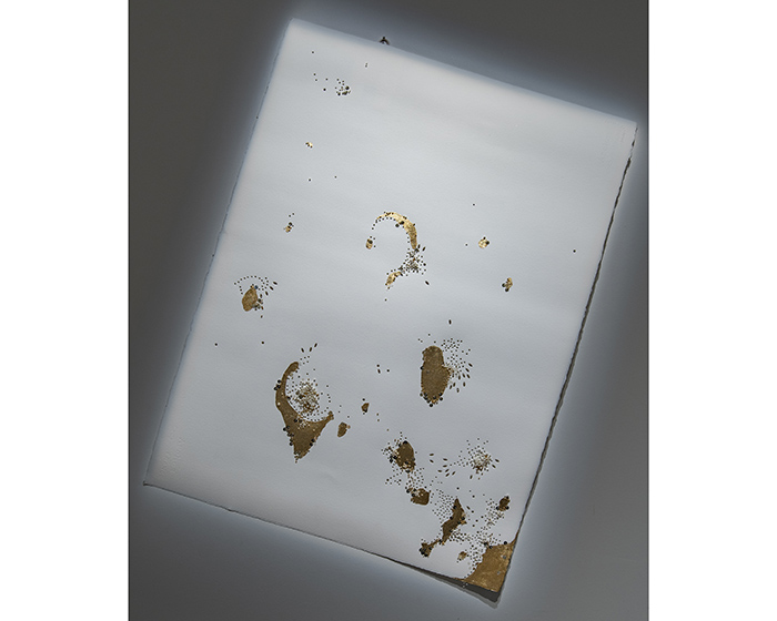 Elisa Markes-Young - Saudade