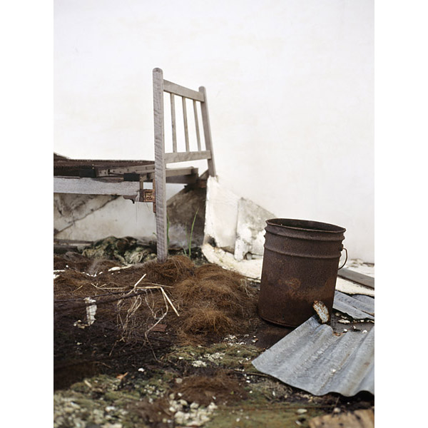 Christopher Young - What I Am