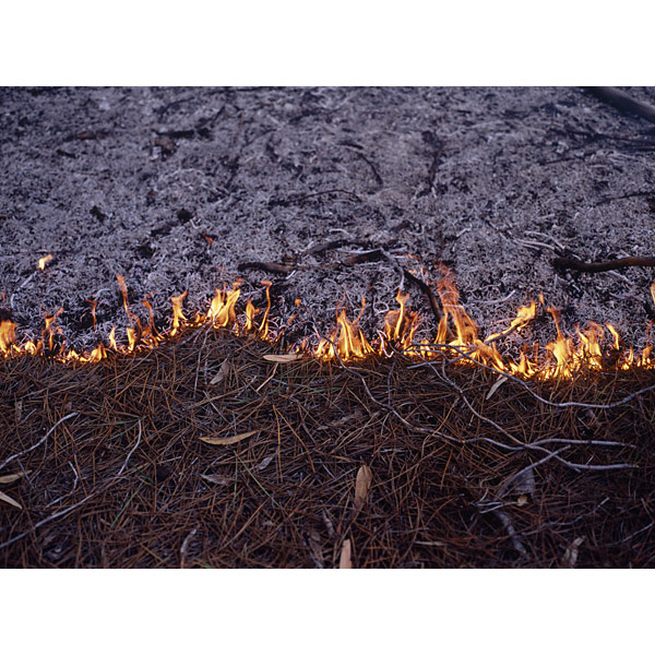 Christopher Young - What I Am