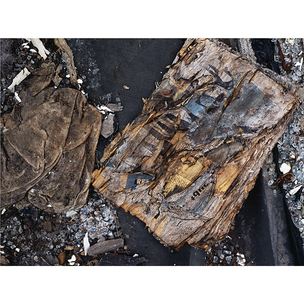 Christopher Young - What I Am