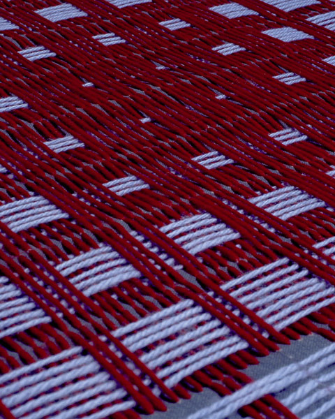 Elisa Markes-Young - What I Am